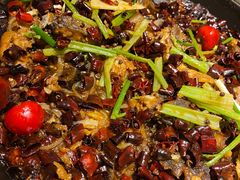 -老板恋上鱼(恒隆广场店)