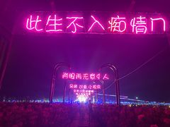 -枫林花海