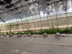 -前小桔亲子创意农场·草莓采摘·露营烧烤