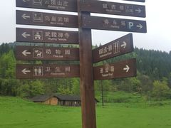 -武陵山森林公园