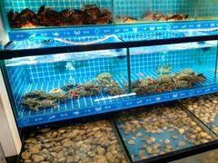 -周记老沈阳焦火鸡架