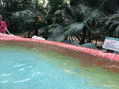 -渔岛海洋度假区