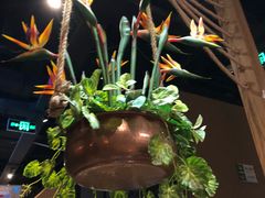 -云海肴·云南小炒·汽锅鸡(天津国金汇店)