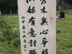 -重庆彩云湖湿地公园