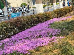 -山东省千佛山医院