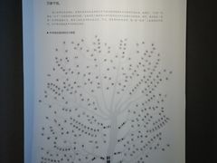 -黄帝陵