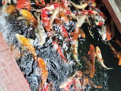 -侠成水上农庄(工业大道店)