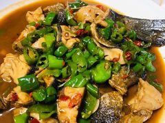 -全乐鱼馆·淳牌有机鱼直营店