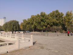 -莲花池公园