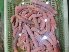 -味莊·青岛菜(云霄路店)