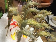 -尚海豆捞(乐虹坊店)