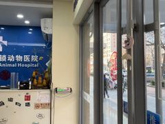 -全心全意连锁动物医院·微创中心·内科急重症·心脏专科(丰管路店)