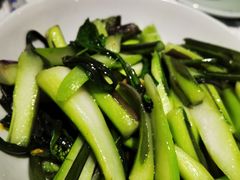 红菜苔-壹盏灯(惠农店)
