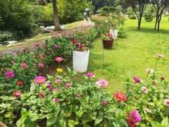 -陶祖圣境风景区