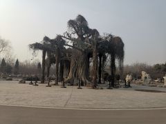 -石家庄市植物园