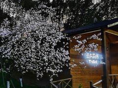 -观山湖公园