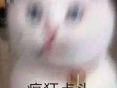 -仑头海鲜城(仑头环村南路店)
