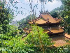 -仙岳公园