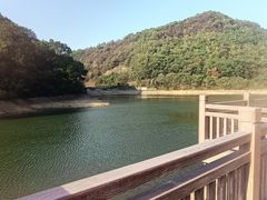 -桃花岭景区