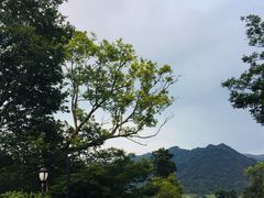 -浙江安吉JW万豪酒店·万豪中餐厅