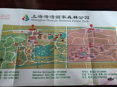 -上海海湾国家森林公园