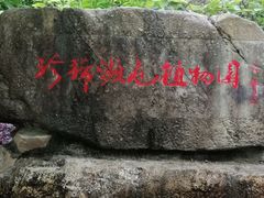 -广州市流溪河国家森林公园