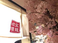 -金龙咖喱