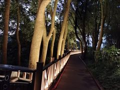 -上海市保健医疗中心