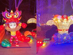 -南宫五洲植物乐园