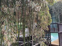 -春晖园度假酒店温泉