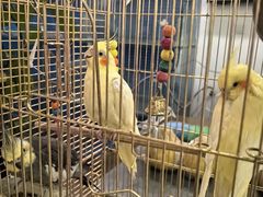 -潇湘·永州会馆(百子湾店)