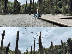 -金沙遗址博物馆