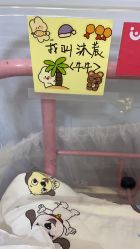 -仕馨·优若家月子会所(萝岗店)