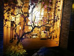 -老伙记海鲜码头(北滘店)