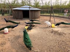 -红石沟生态休闲农场