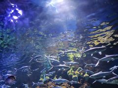 -华夏文旅西安度假区