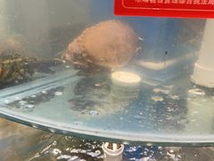 -四海蒸鲜蒸汽海鲜自助(北戴河店)