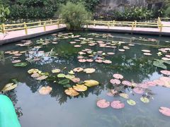 -广州莲花山旅游区
