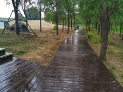 -东郊湿地公园