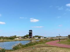 -春花秋色城市公园