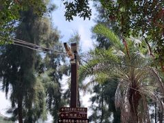 -东山风动石景区
