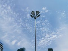 -天鹅湖体育公园