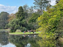 -墨尔本皇家植物园