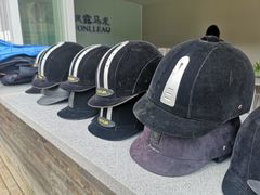 -枫露马术学院(藏书校区)