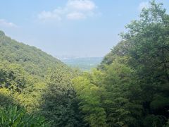 -韬光茶庵