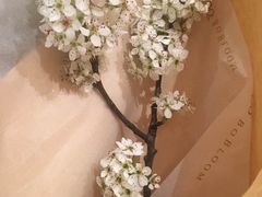 -BOBLOOM花店(宝龙旭辉广场店)
