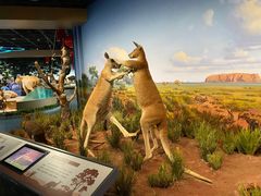 -陕西自然博物馆