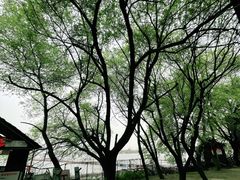 -东湖落雁景区
