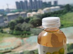 -茶理宜世(广州南站（站内）3楼B17检票口店)
