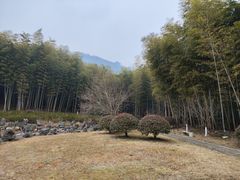 -游子山休闲旅游区